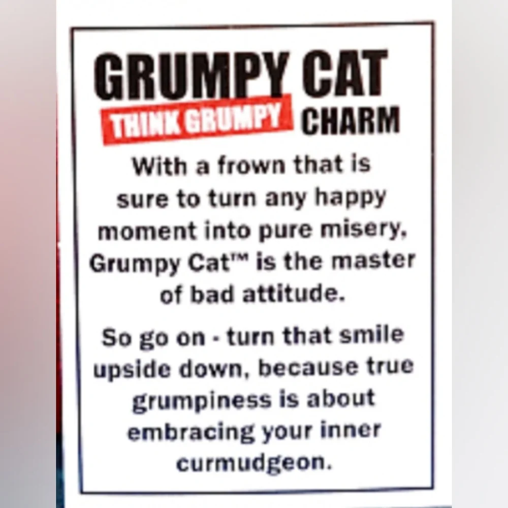 Grumpy Cat Think Grumpy Charm Go Away Round Tardar Sauce 2013